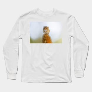 Harvest Mouse on Teasel Long Sleeve T-Shirt